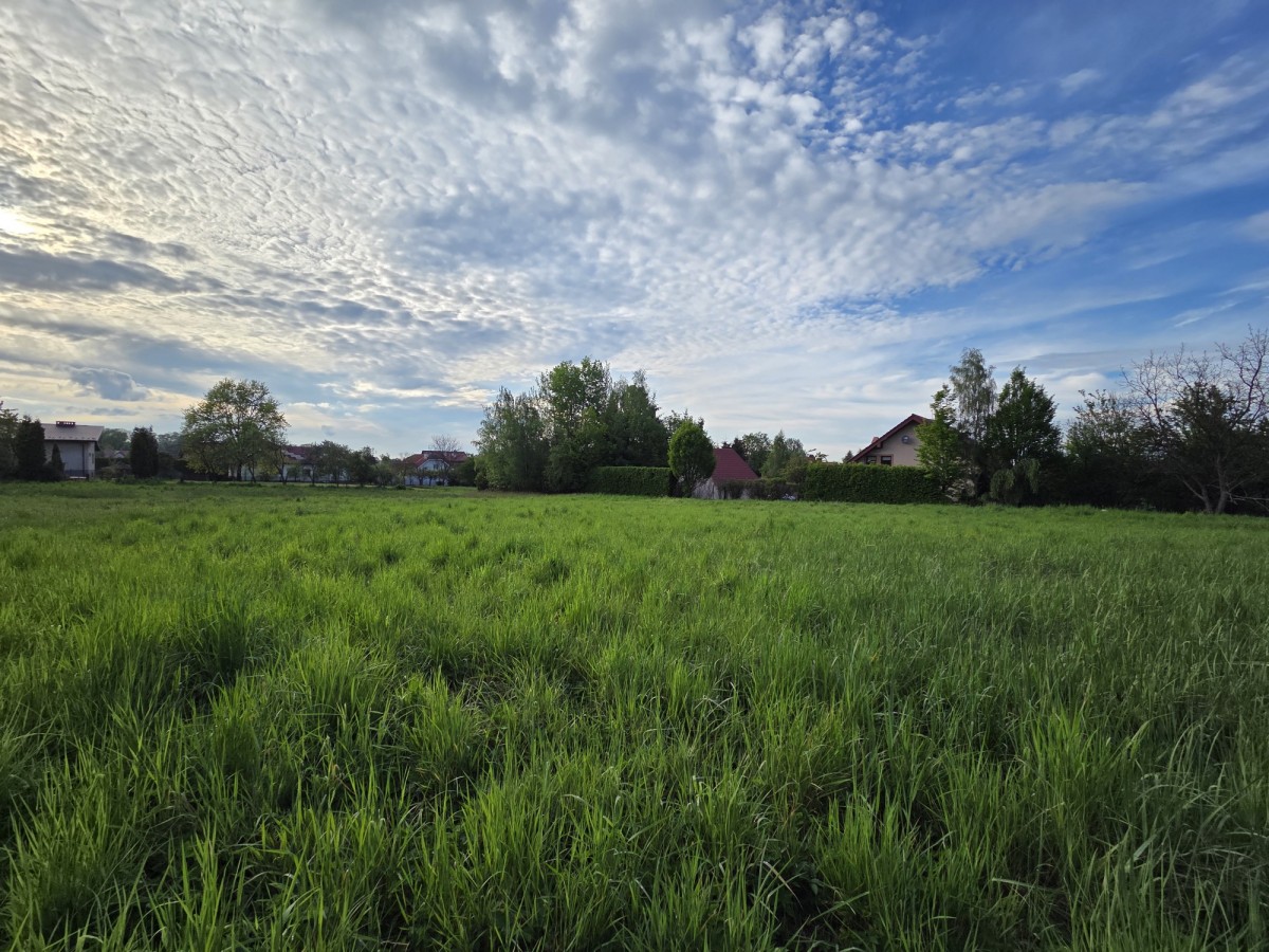 Działka - 4374 m² - Libertów