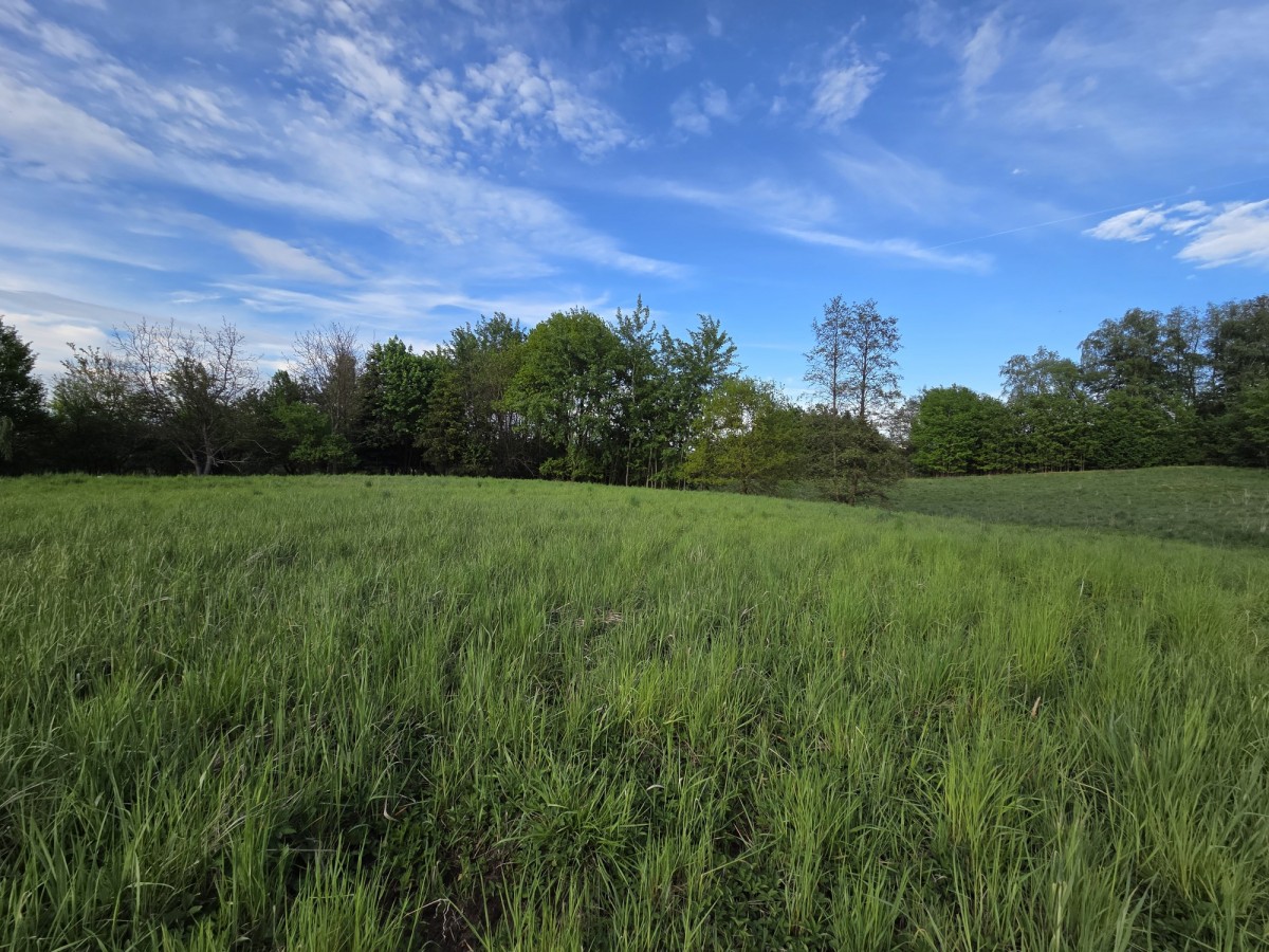 Działka - 4374 m² - Libertów