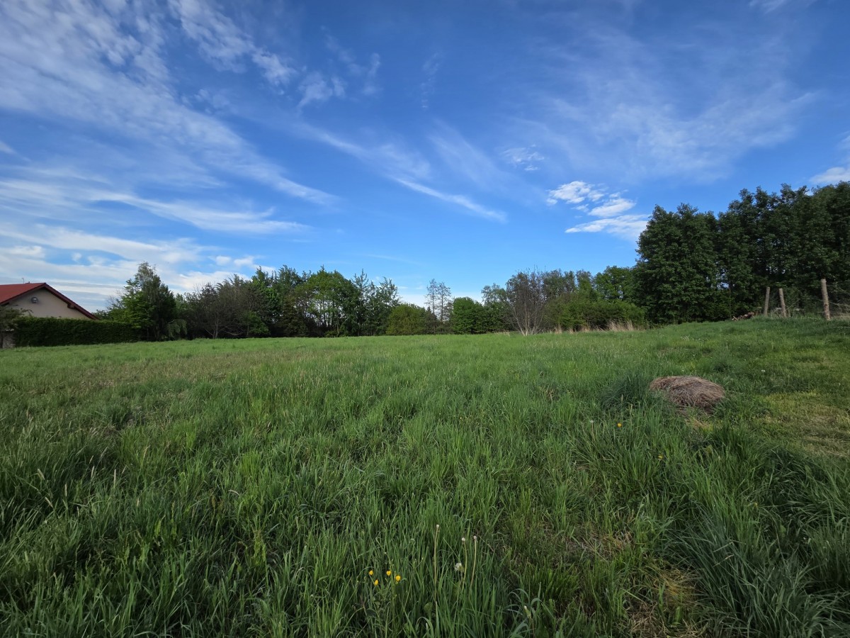Działka - 4374 m² - Libertów