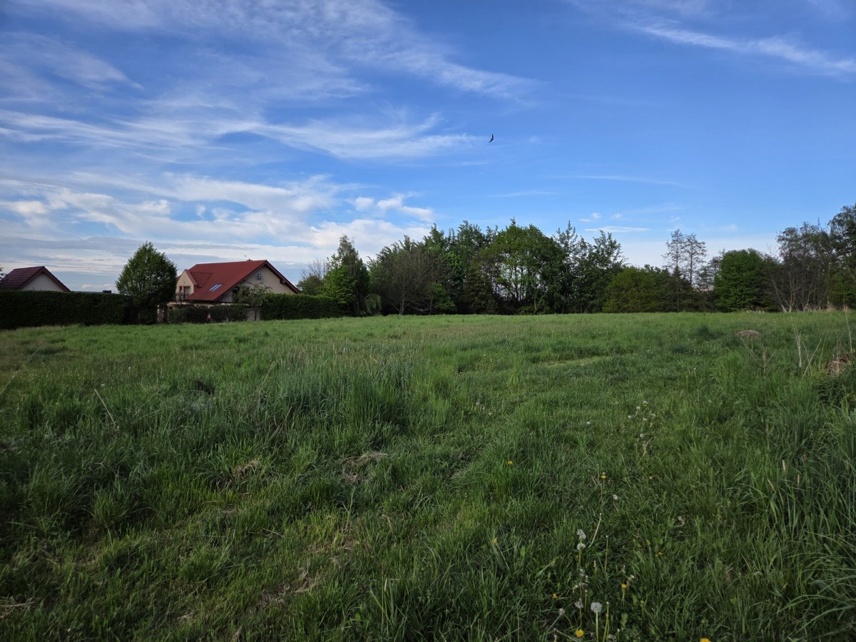 Działka - 4374 m² - Libertów