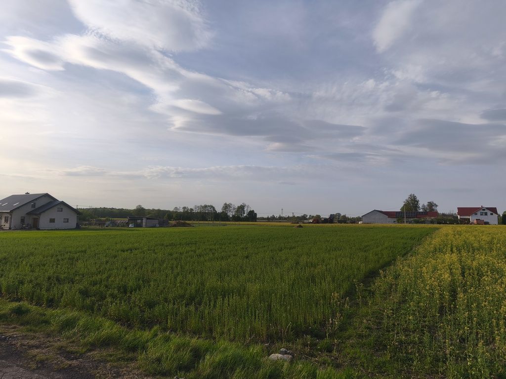 Grundstück - 3002 m² - Wola Miedniewska
