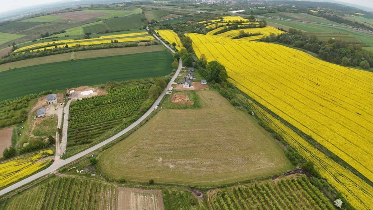 Terreno - 3000 m² - Węgrzynów