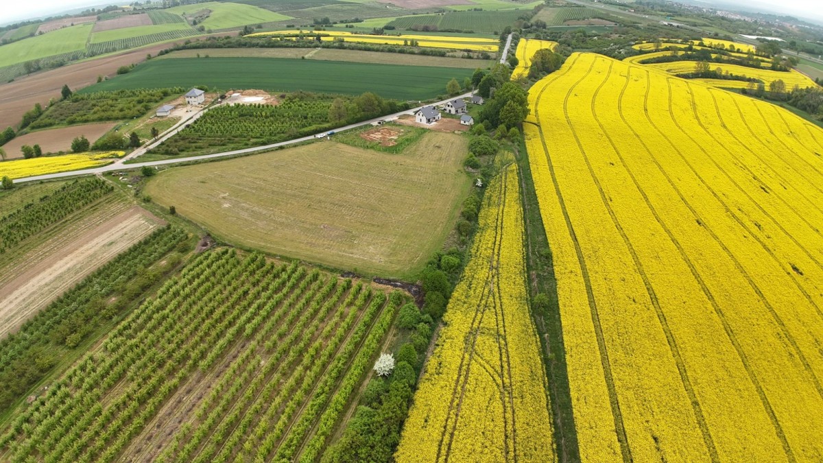 Terreno - 3000 m² - Węgrzynów