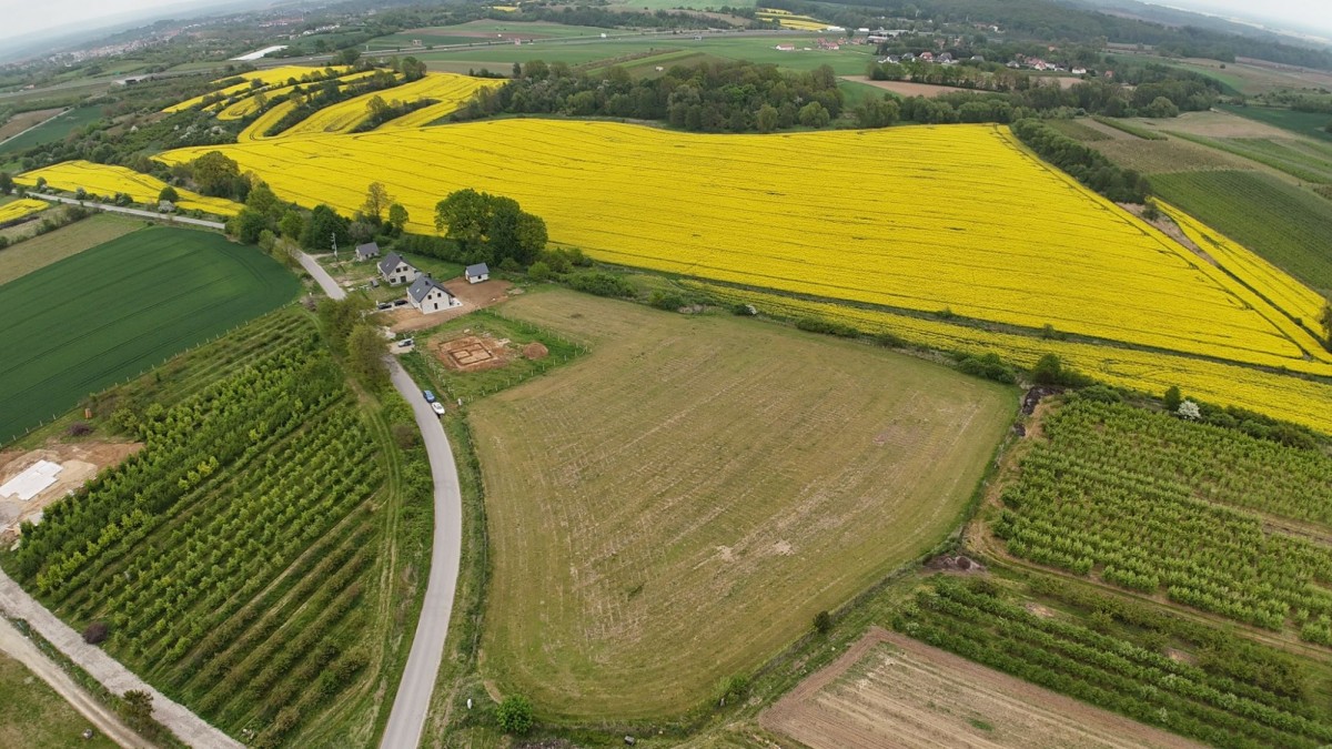 Terreno - 3000 m² - Węgrzynów