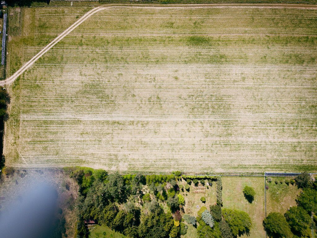 Plot - 1189 m² - Bratkowa St. Łódź