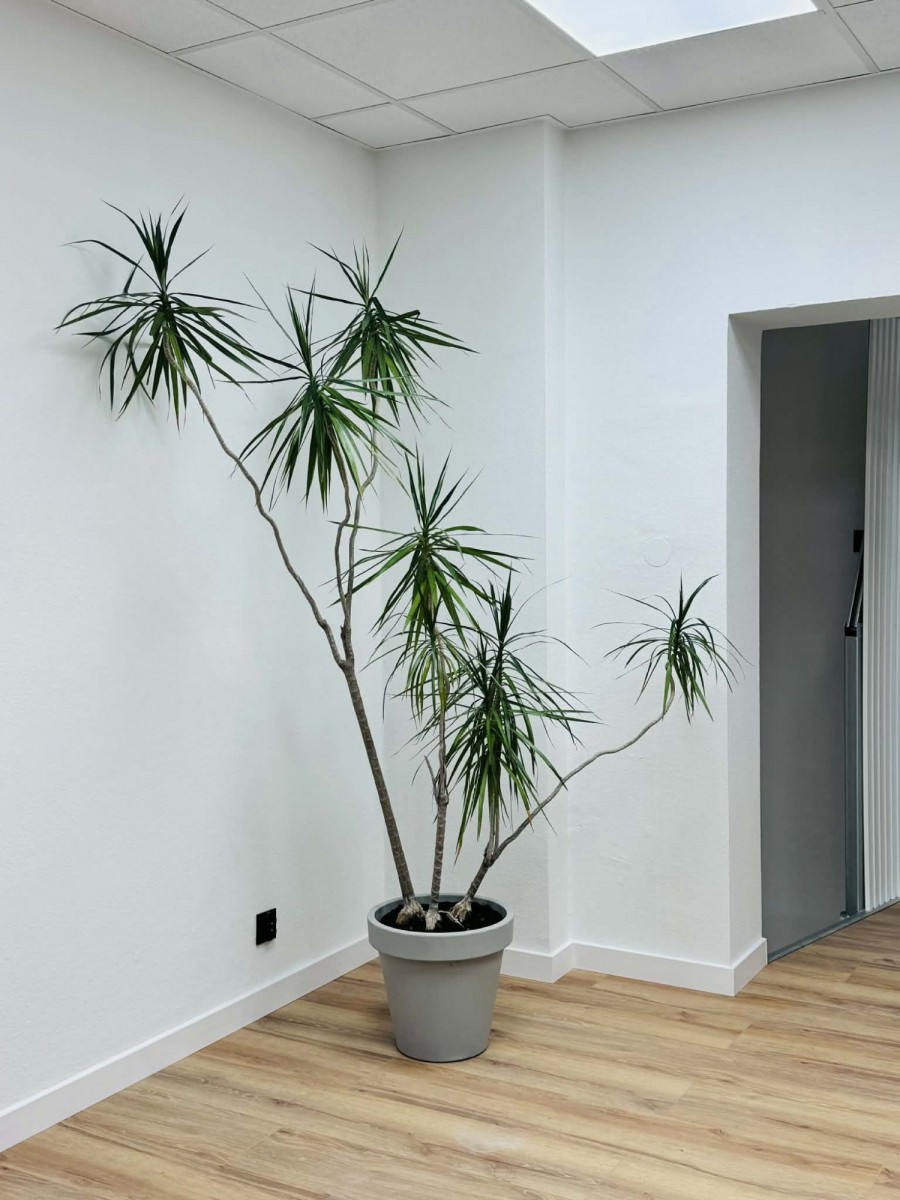 Objeto - 2 habitaciones - 60 m² - c. Świetlana Poznań Grunwald