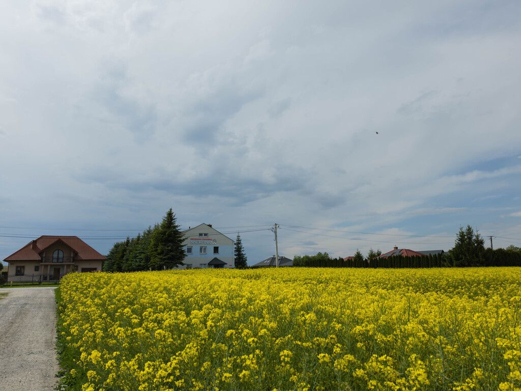 Участок - 708 м² - Пржеворск