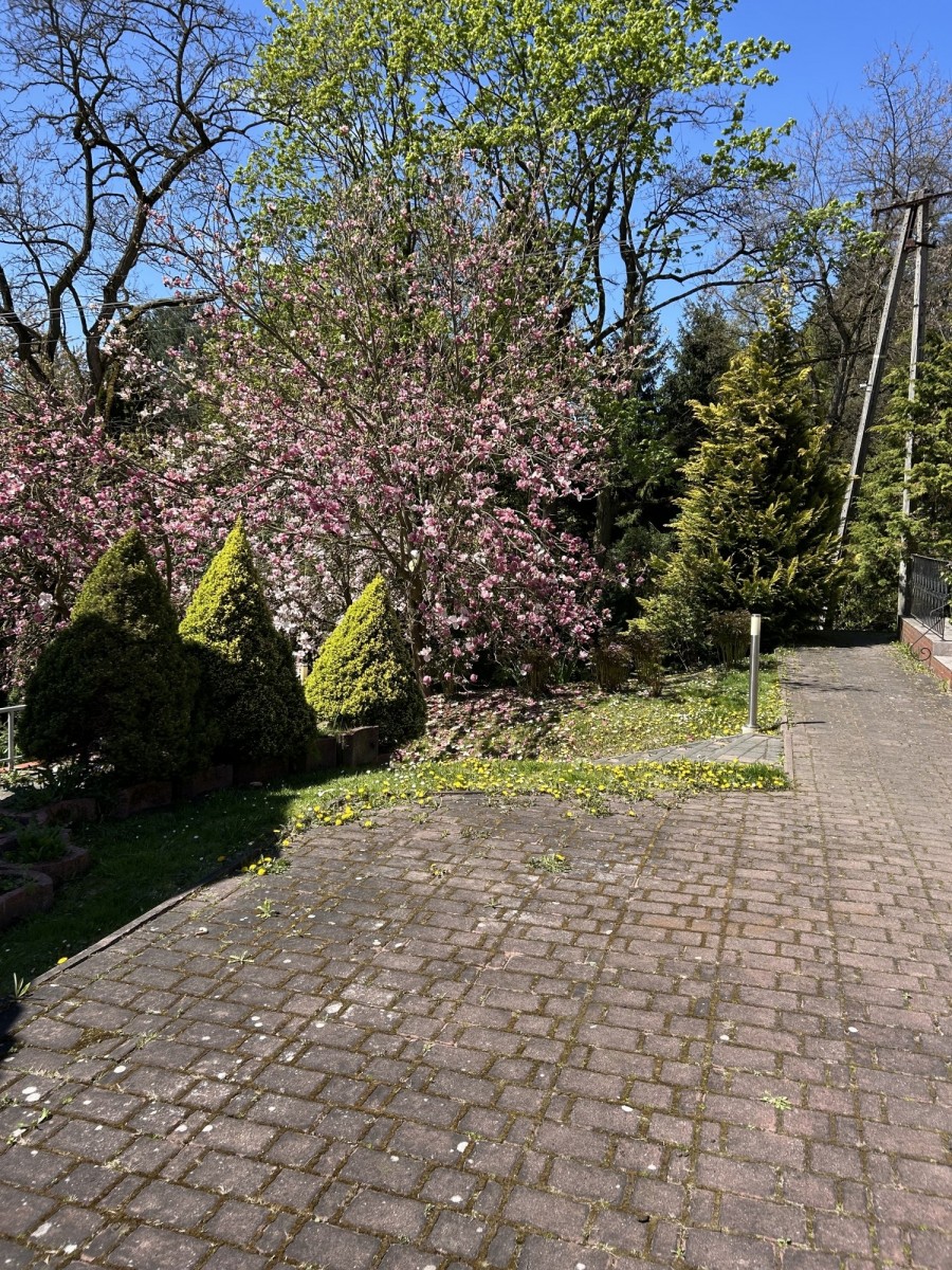 Dom - 4 pokoje - 140 m² - ul. Leśna Bolechowice