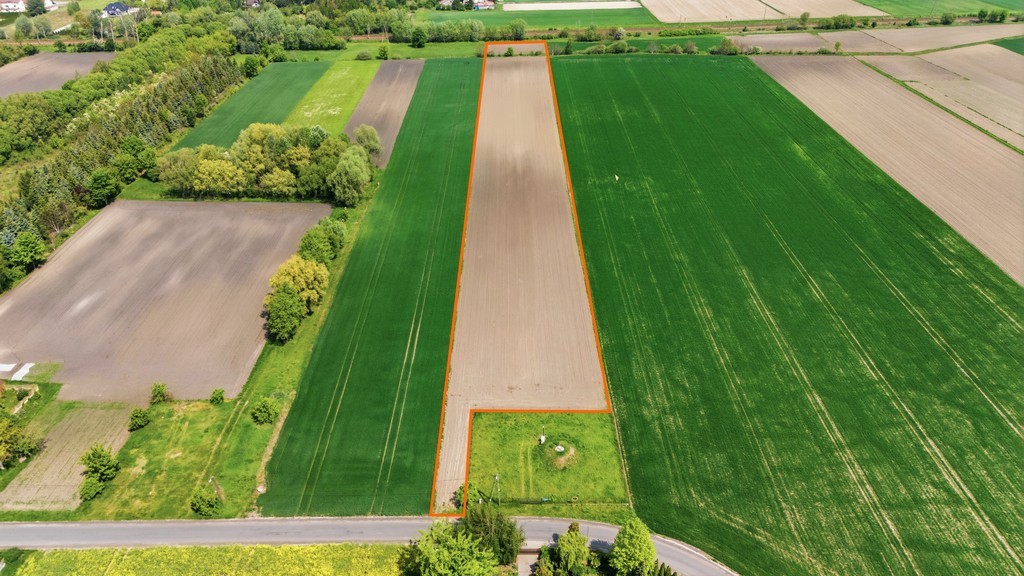 Terreno - 14050 m² - c/ Strażacka Granice