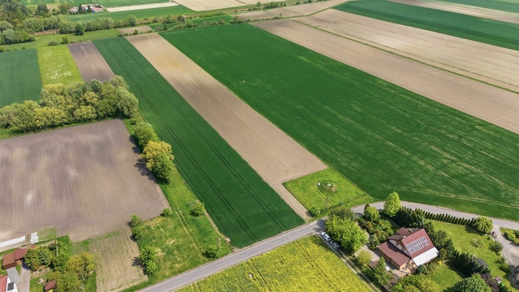 Terreno - 14050 m² - c/ Strażacka Granice