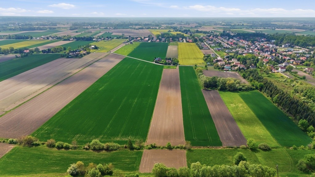 Terreno - 14050 m² - c/ Strażacka Granice
