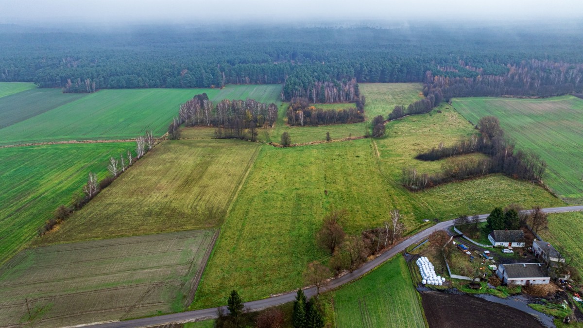 토지 - 9143 m² - Wierzchy