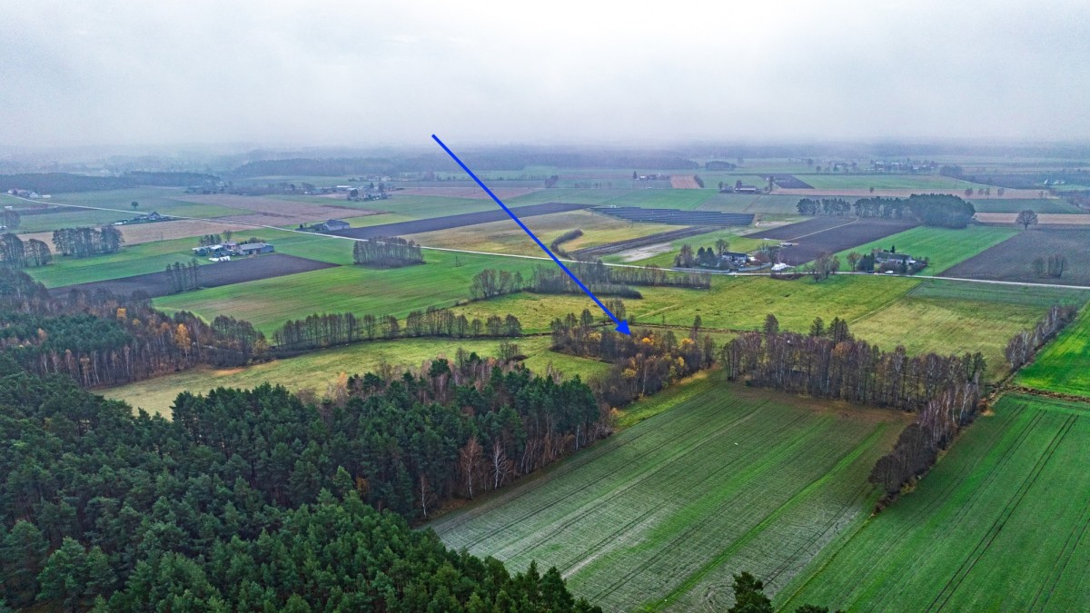 토지 - 9143 m² - Wierzchy