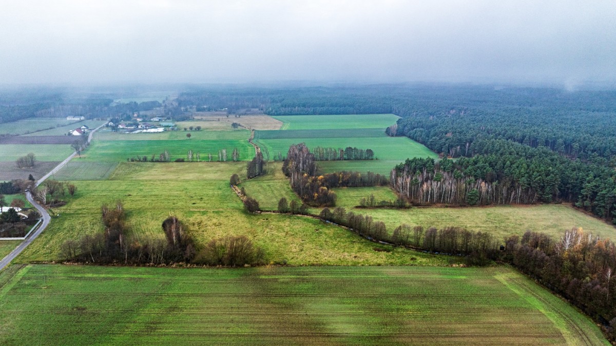 토지 - 9143 m² - Wierzchy