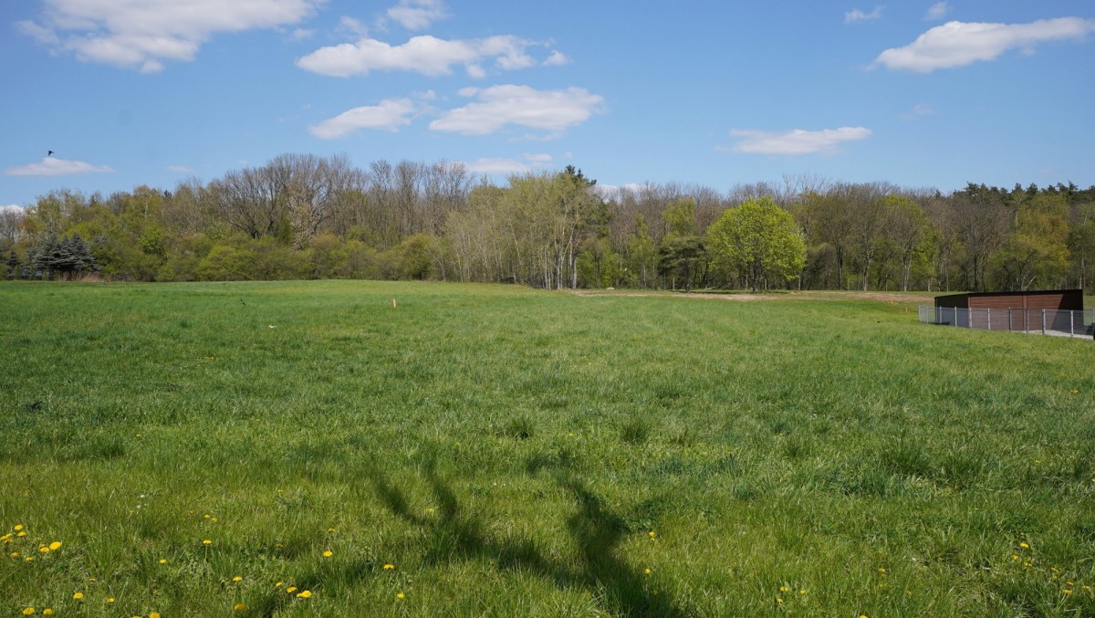 Grundstück - 997 m² - Pożegowska Straße Mosina Pożegowo