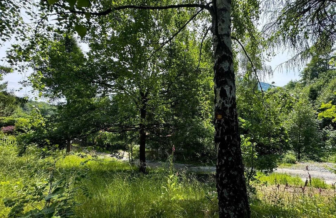 Plot - 737 m² - Kolorowa Street Szczyrk