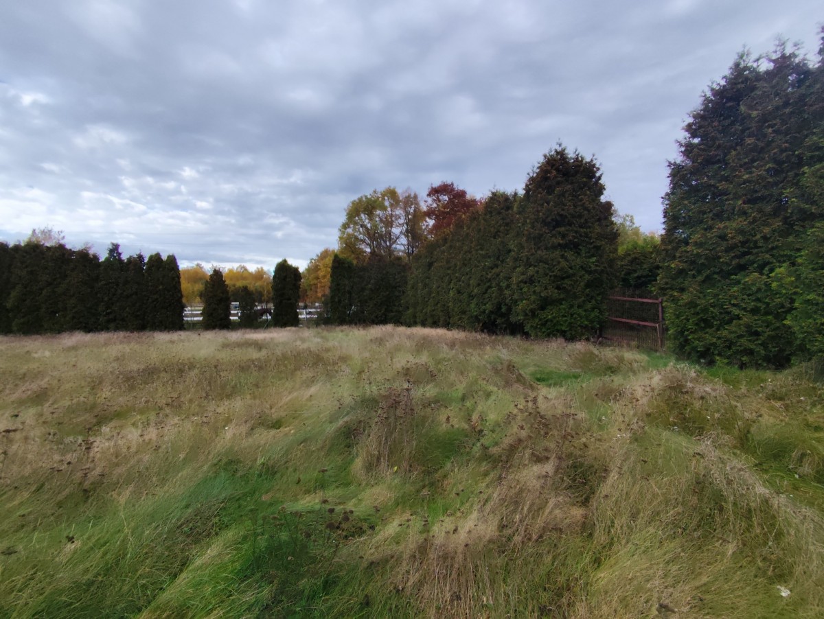 Działka - 2600 m² - ul. Musioła Bytom