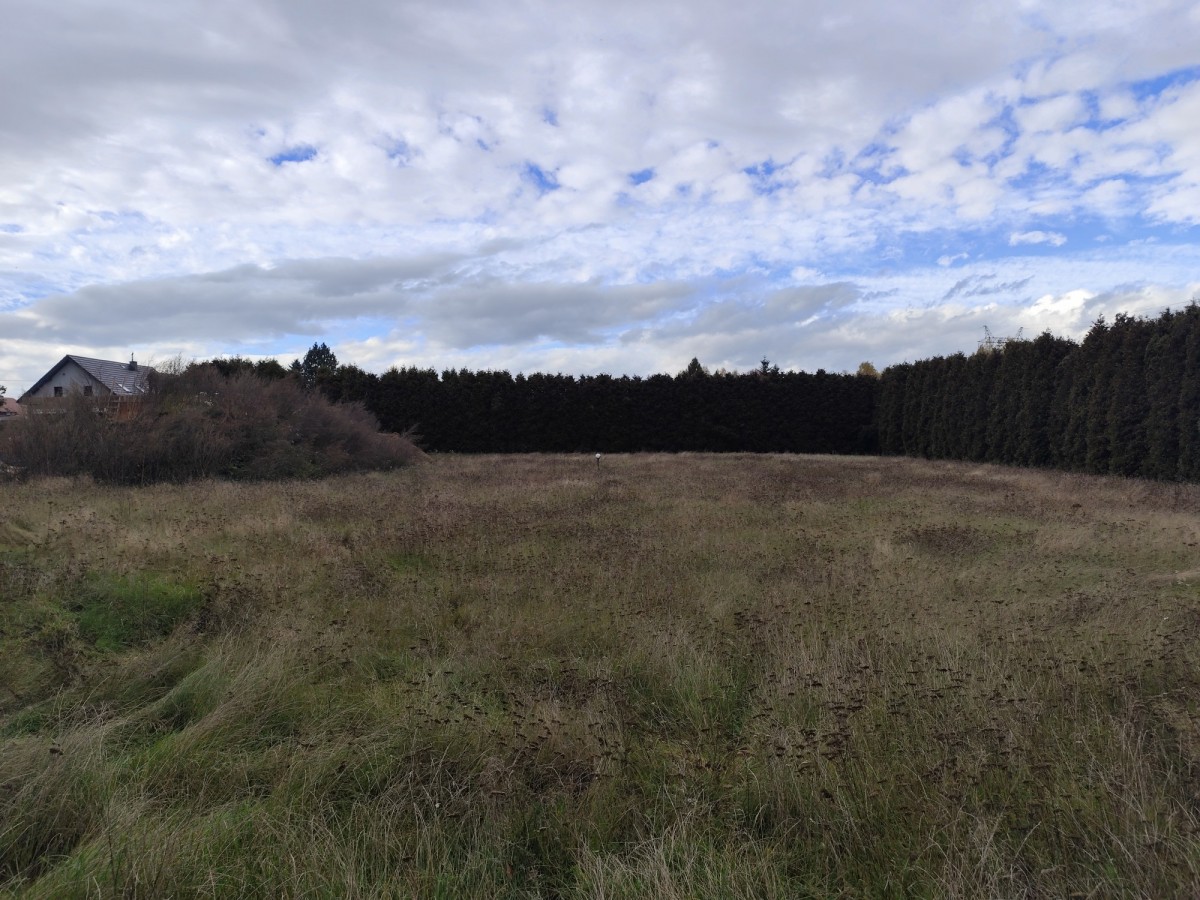 Działka - 2600 m² - ul. Musioła Bytom