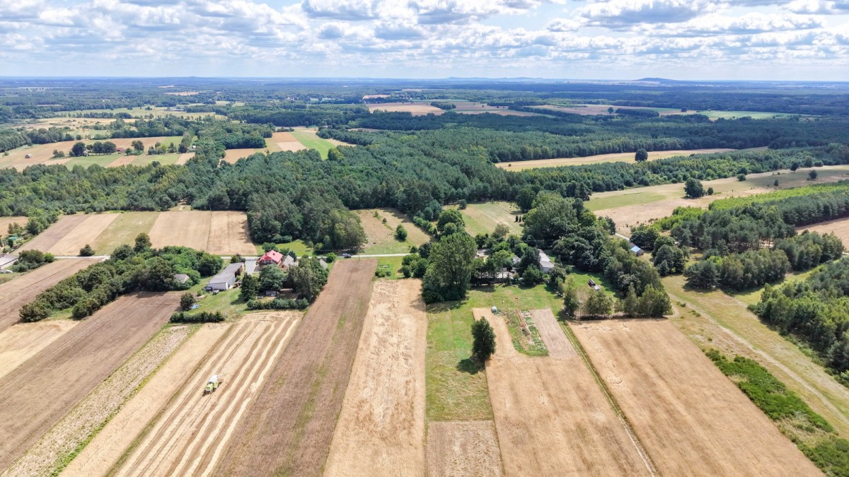 Działka - 4100 m² - Wola Kotkowska