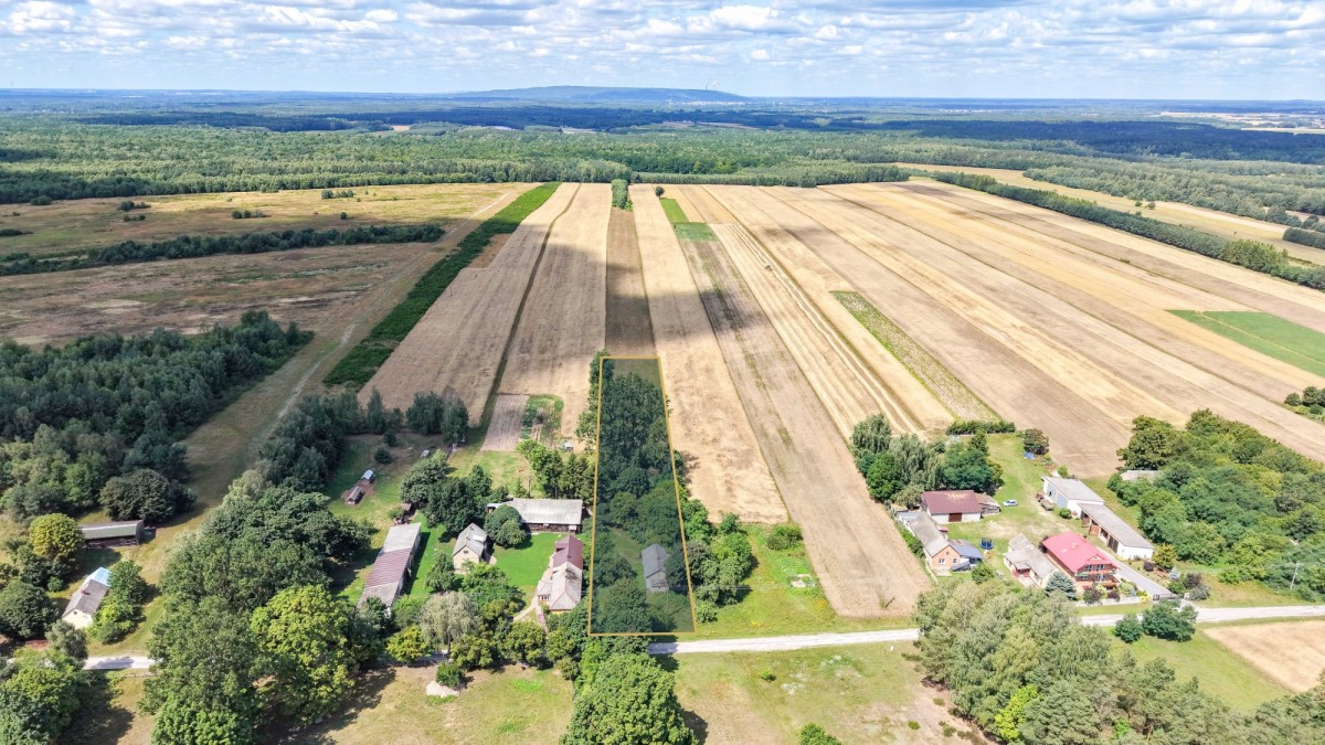 Działka - 4100 m² - Wola Kotkowska