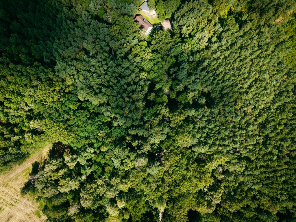 Plot - 972 m² - Księstwo