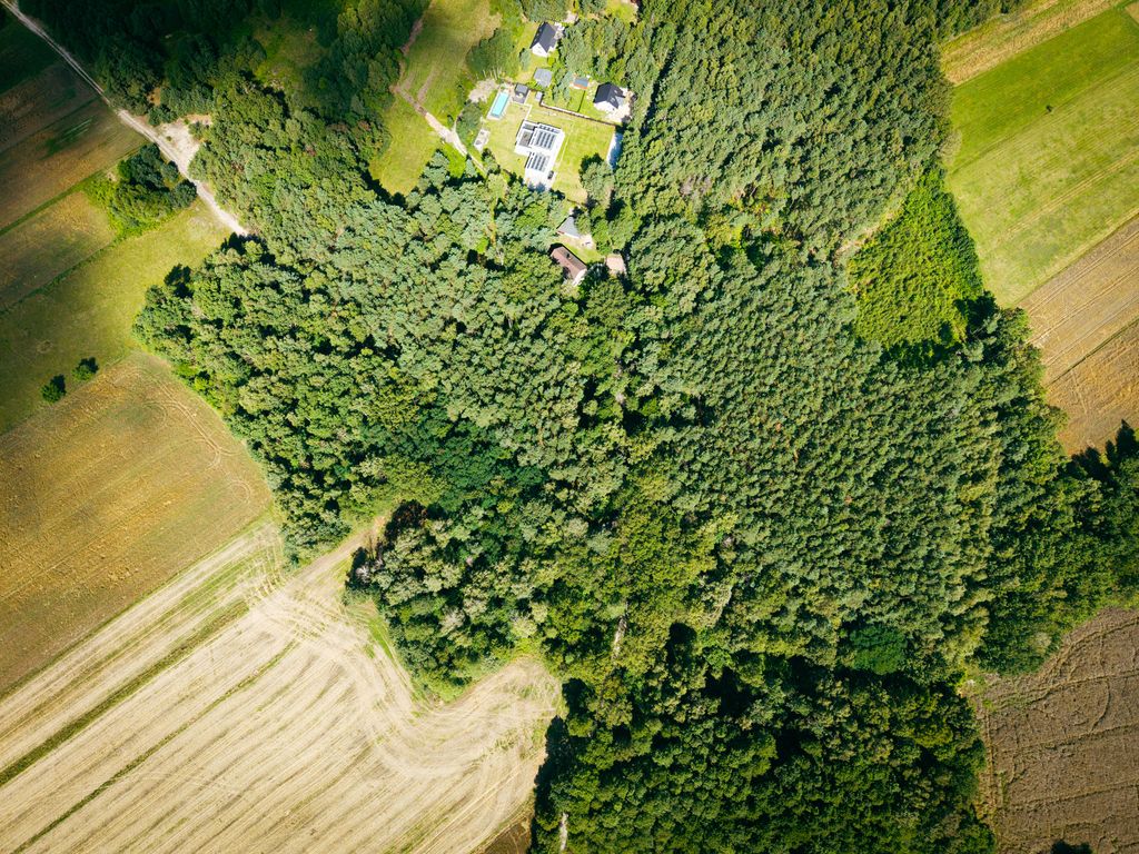 Plot - 972 m² - Księstwo