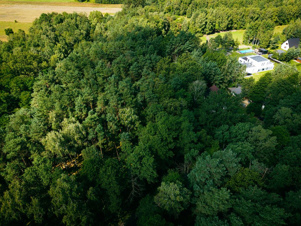 Plot - 972 m² - Księstwo