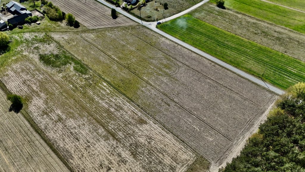 Plot - 1518 m² - Skórka