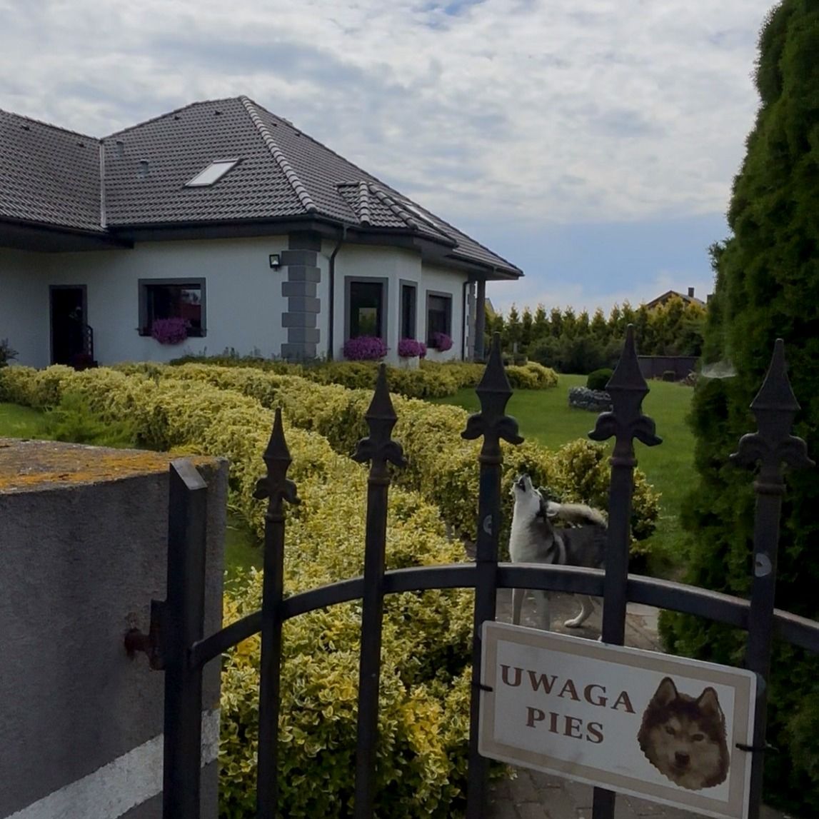 Haus - 6 Zimmer - 243 m² - Skrzynki