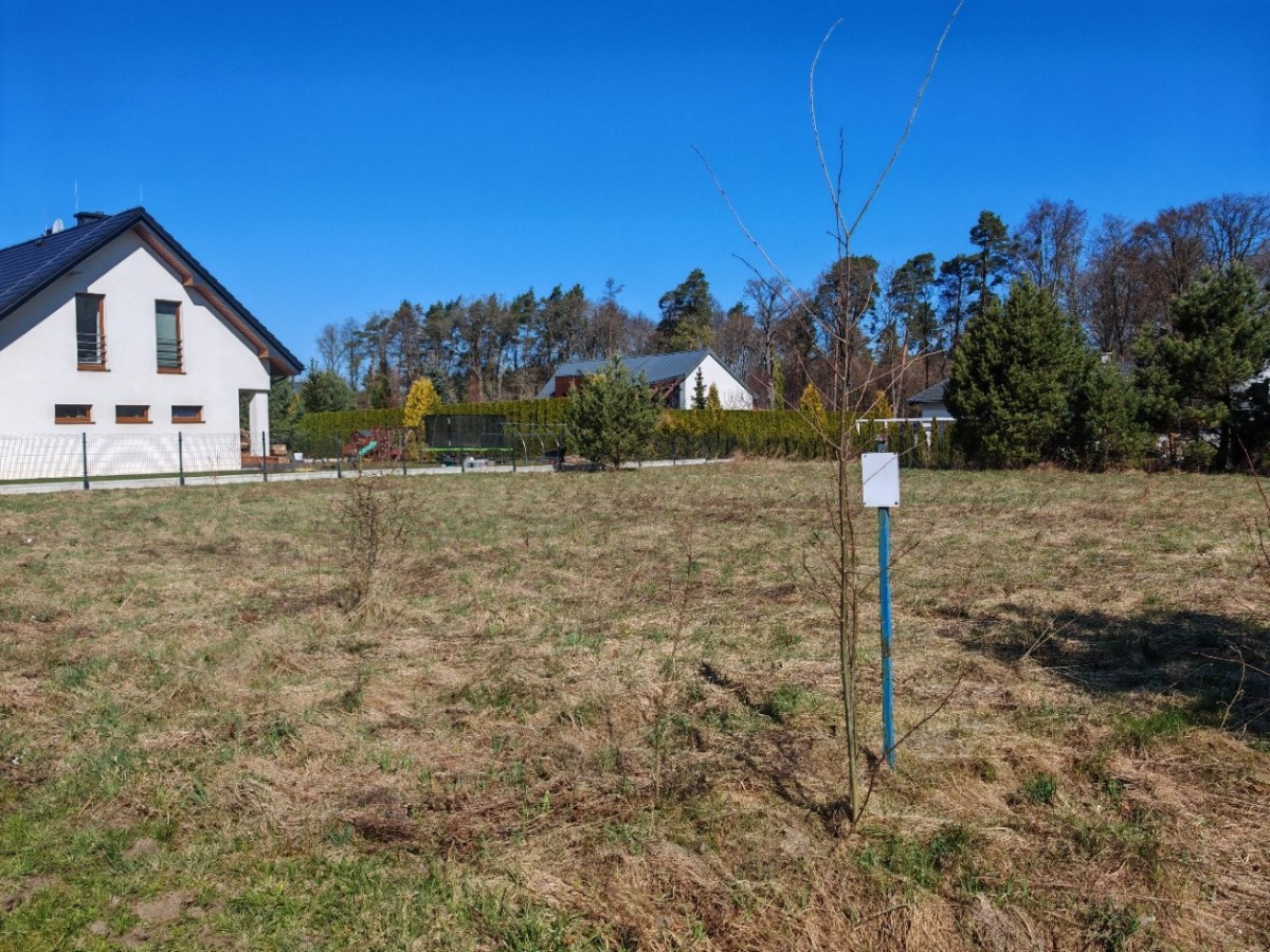 부지 - 1170 m² - ul. Podleśna Czapielsk
