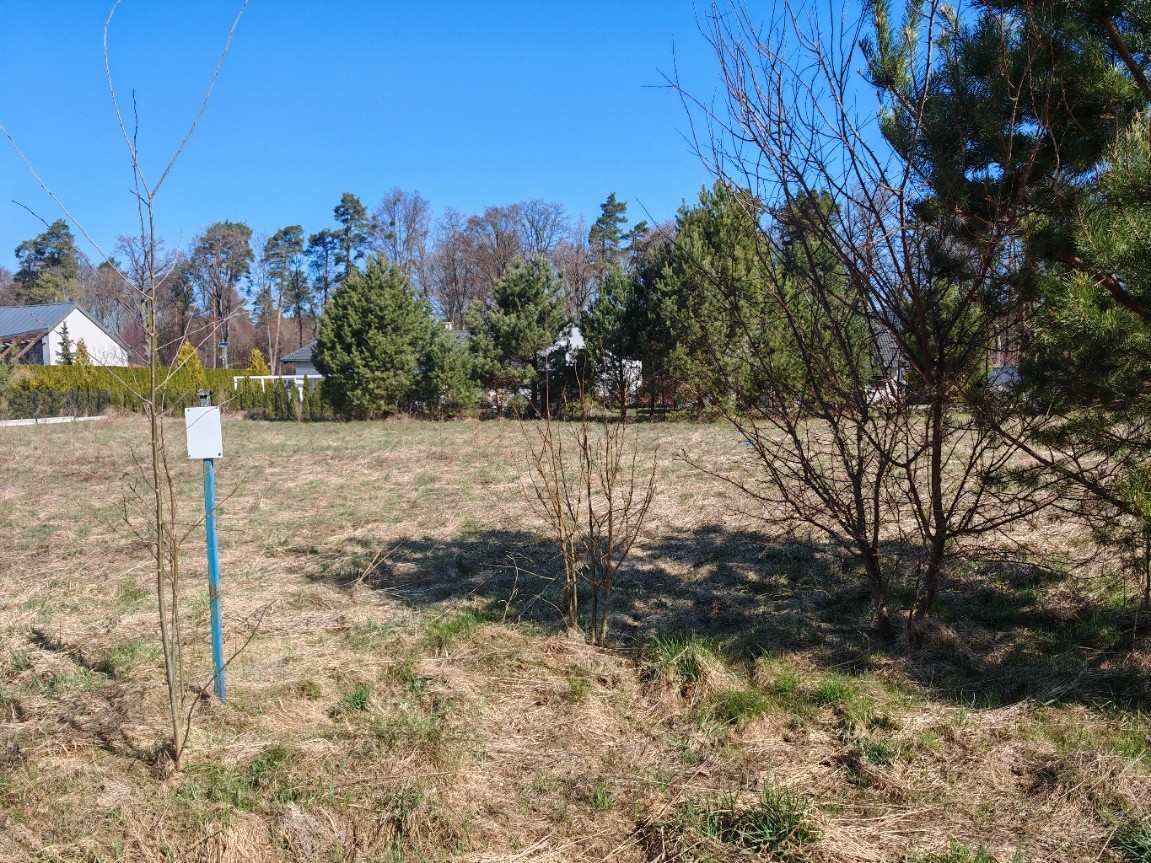부지 - 1170 m² - ul. Podleśna Czapielsk