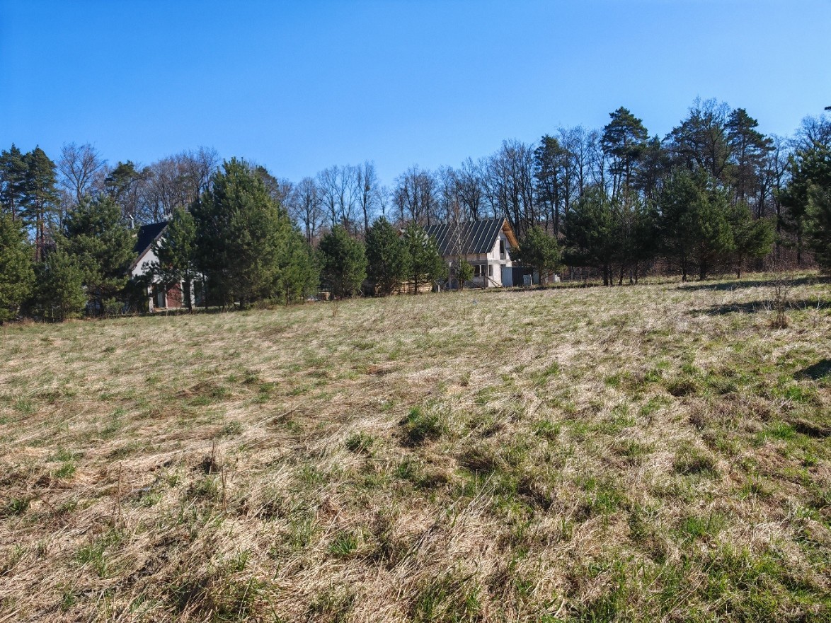 부지 - 1170 m² - ul. Podleśna Czapielsk