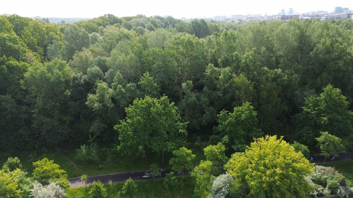 Apartamento - 849 m² - c. Litewska Poznań Sołacz