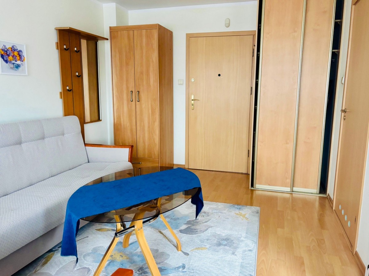 아파트 - 1룸 - 29 m² - ul. Stanisława Szczepanowskiego Poznań Jeżyce