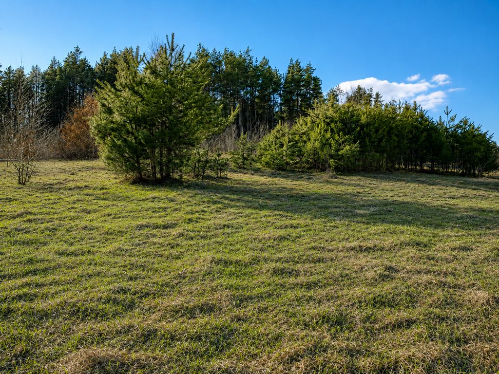 Terreno - 658 m² - Łupstych