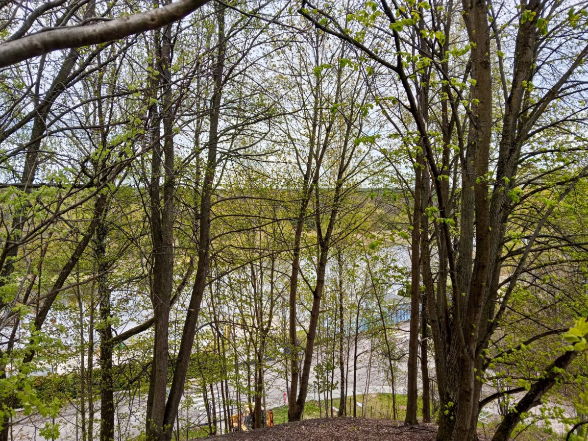 Plot - 1958 m² - Dzbądz
