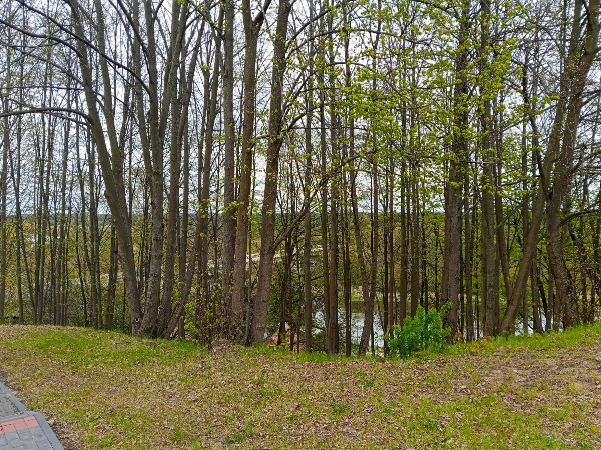 Plot - 1958 m² - Dzbądz