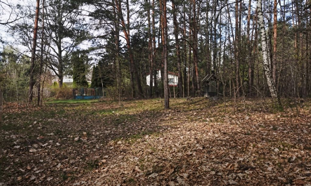 Plot - 4126 m² - Rozrywkowa Street Rosanów