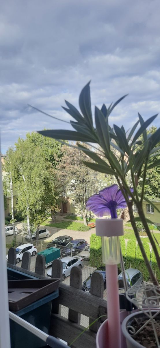 Mieszkanie - 1 pokój - 30 m² - ul. Zielna Łódź Bałuty
