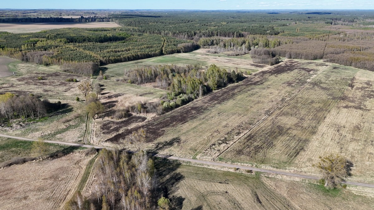 Grundstück - 48500 m² - Dalewo