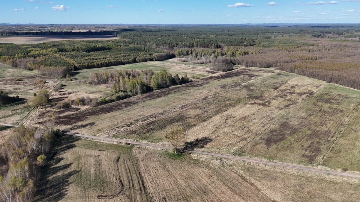 Grundstück - 48500 m² - Dalewo