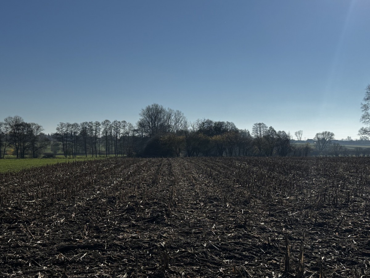 Terreno - 6302 m² - Colonia Łaznów