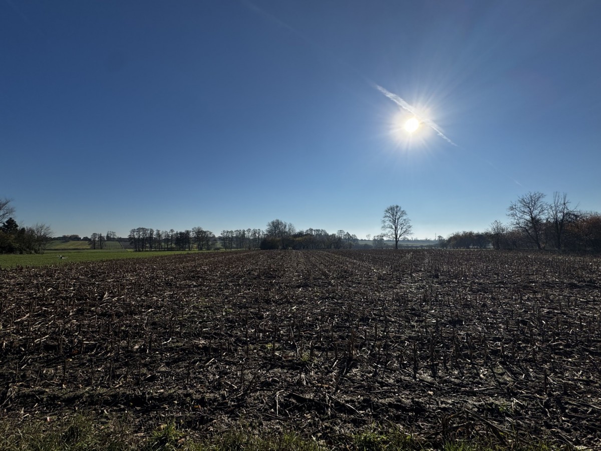 Terreno - 6302 m² - Colonia Łaznów