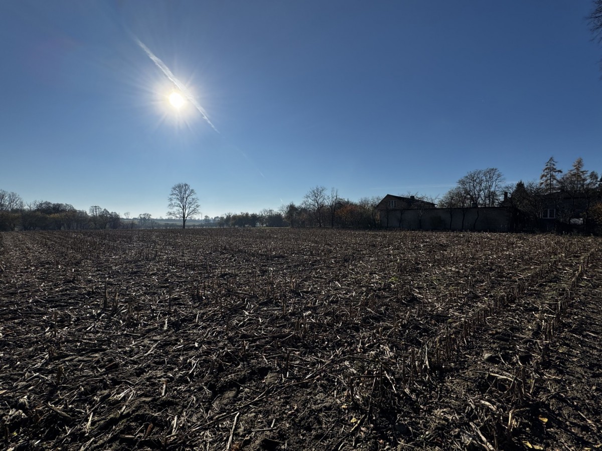 Terreno - 6302 m² - Colonia Łaznów