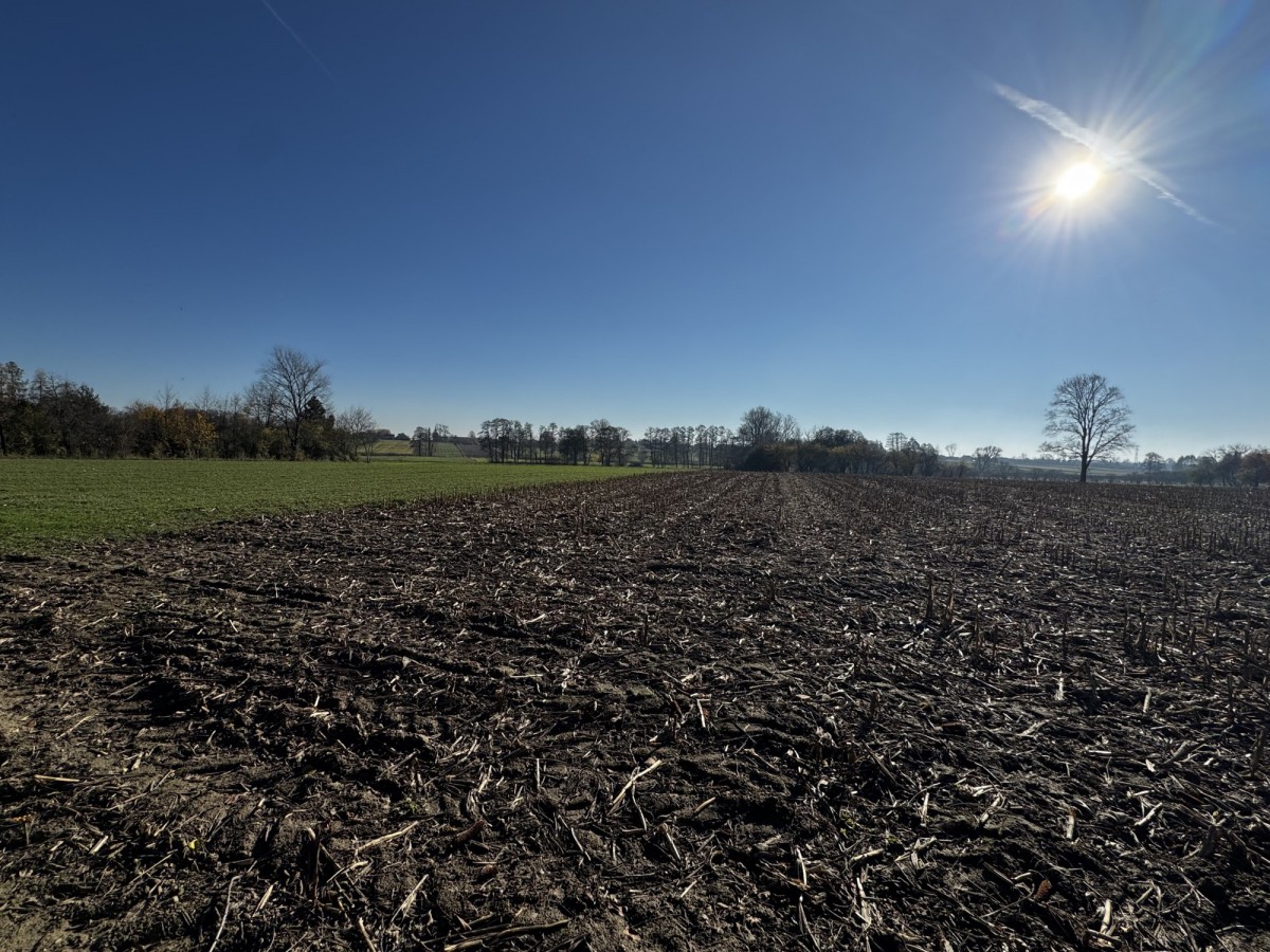 Terreno - 6302 m² - Colonia Łaznów