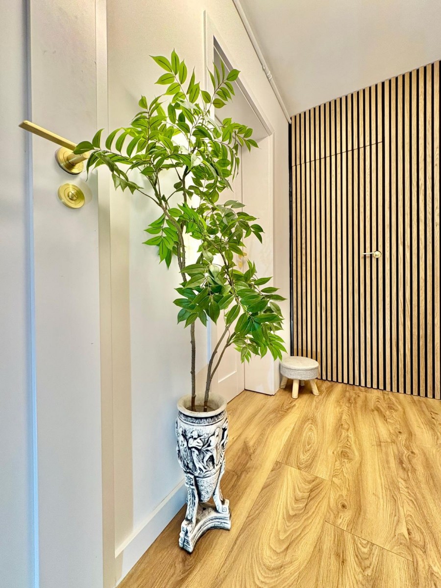 Mieszkanie - 4 pokoje - 54 m² - ul. Świętych Cyryla i Metodego Zielona Góra