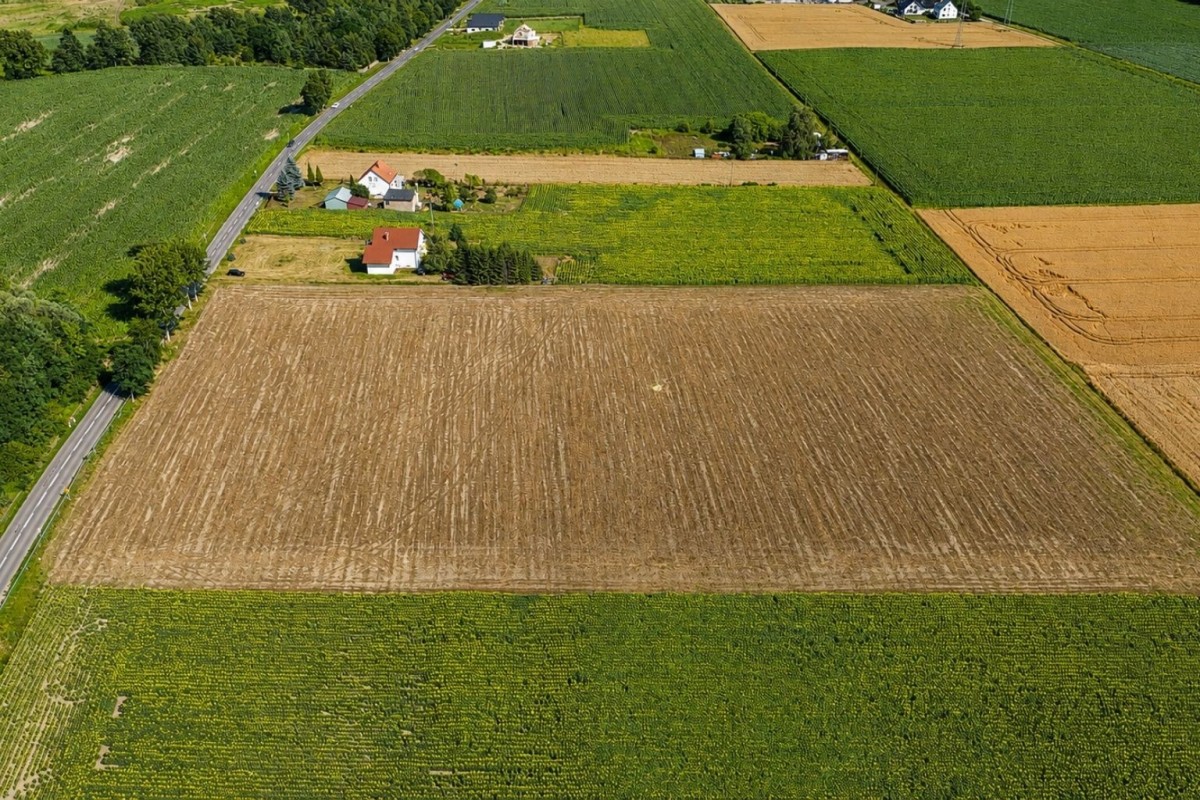 Działka - 917 m² - ul. Bojszowska Jedlina