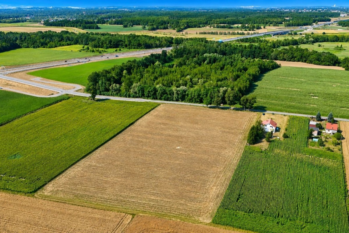 Działka - 917 m² - ul. Bojszowska Jedlina