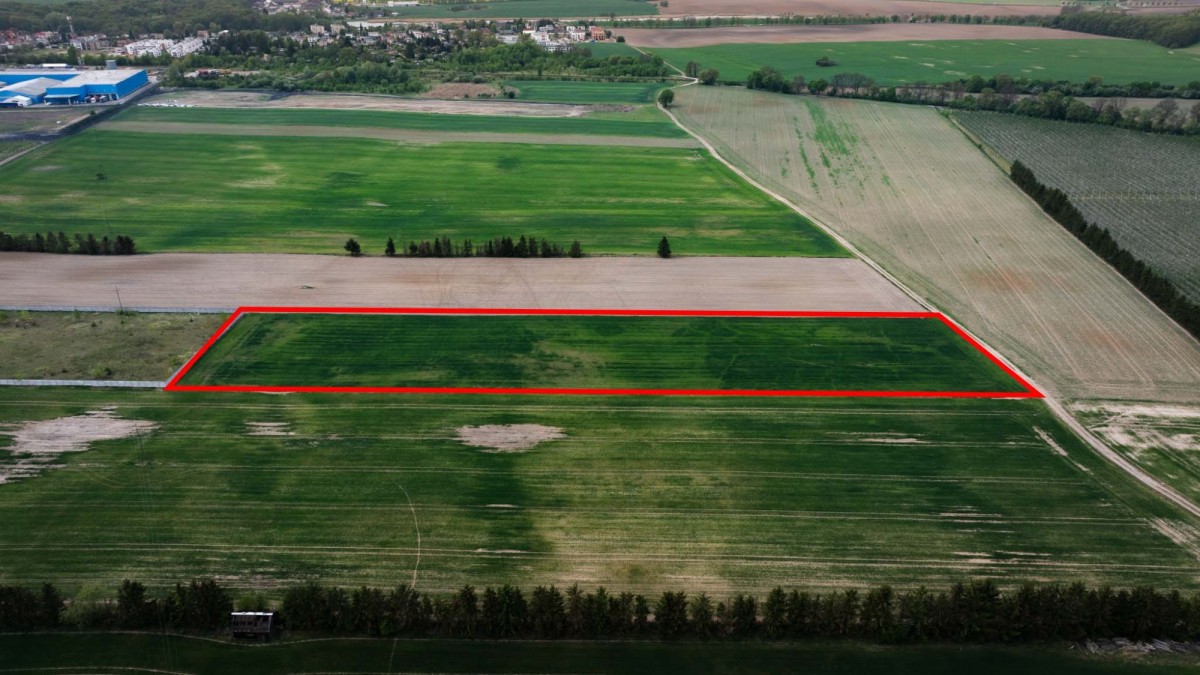 Ділянка - 13344 м² - Муrowana Goślina