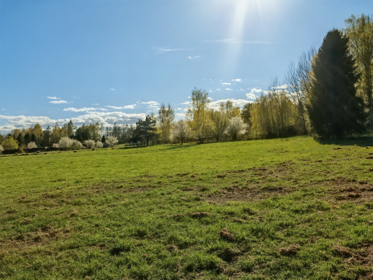 Квартира - 3000 м² - ул. Пржебишневой Чапельск
